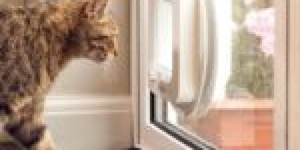 What NOT To Do Within The Cat Flap Installation Tips Industry