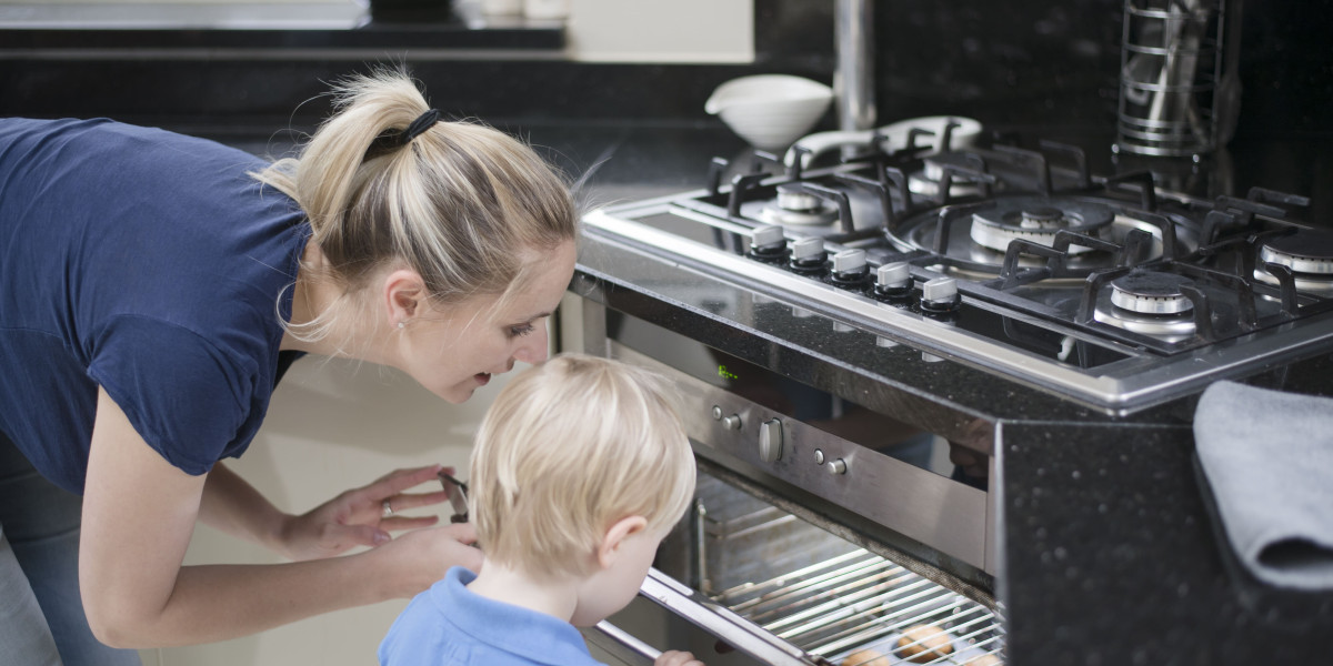 10 Things That Your Family Taught You About Built In Electric Ovens