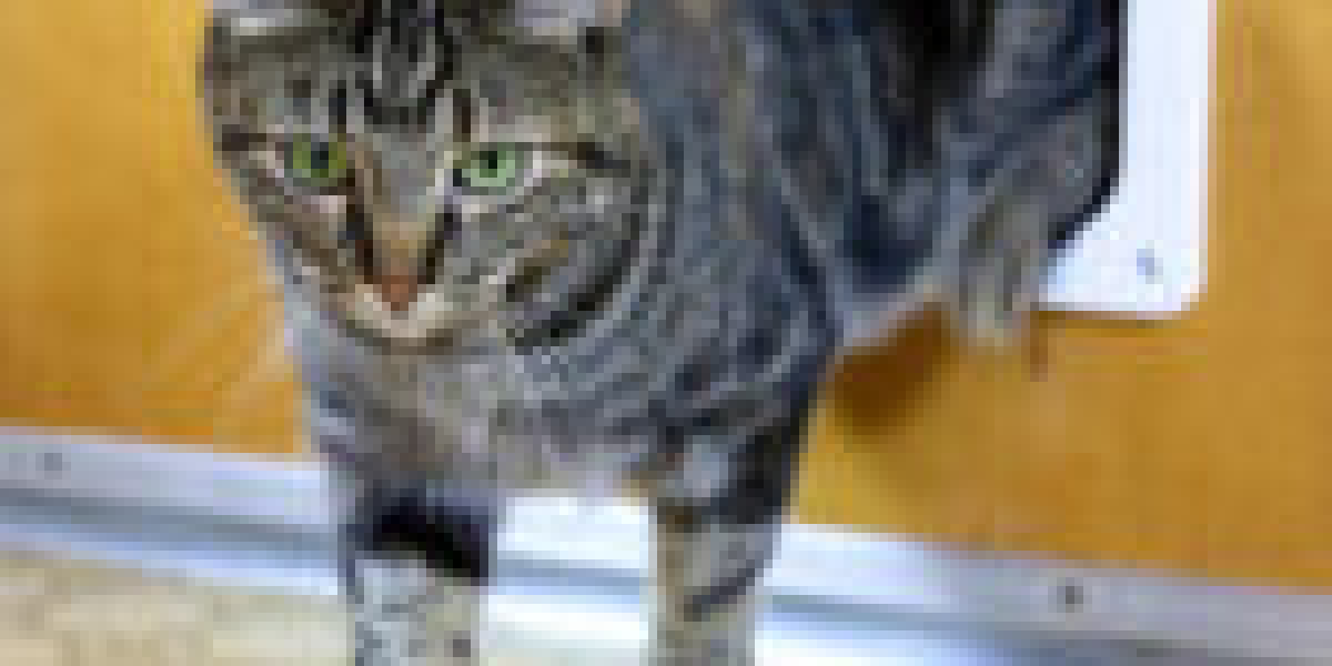 The 10 Scariest Things About Cat Door Installation